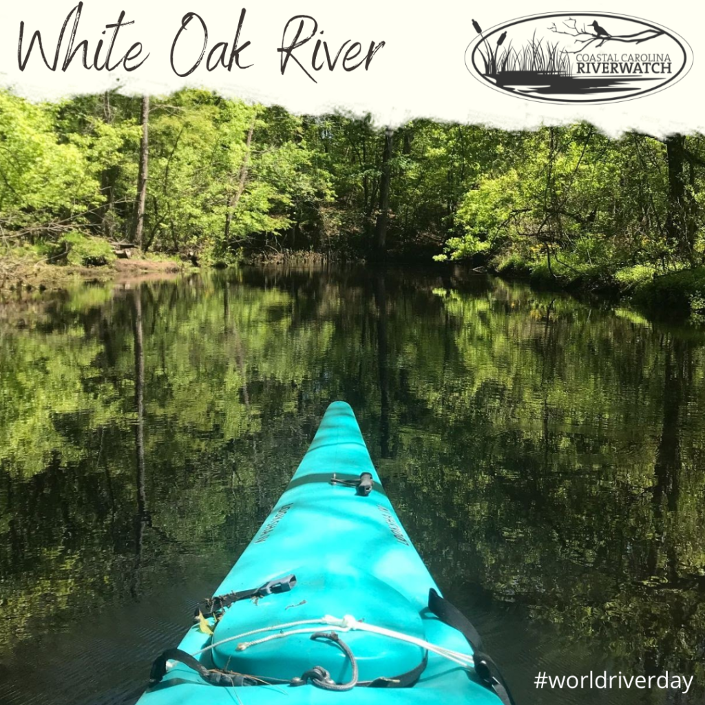 White Oak River New River